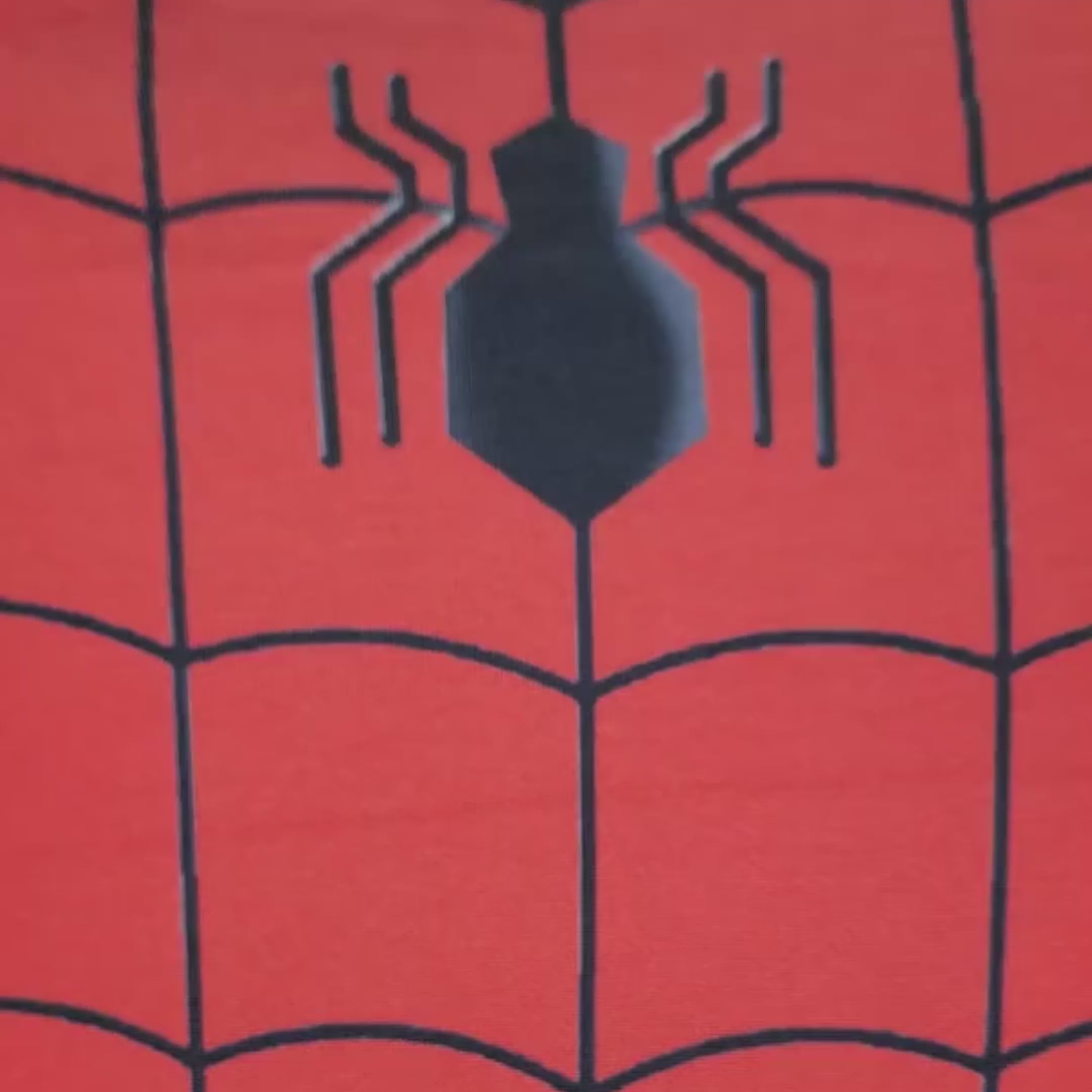 Homem Aranha Fantasia Infantil